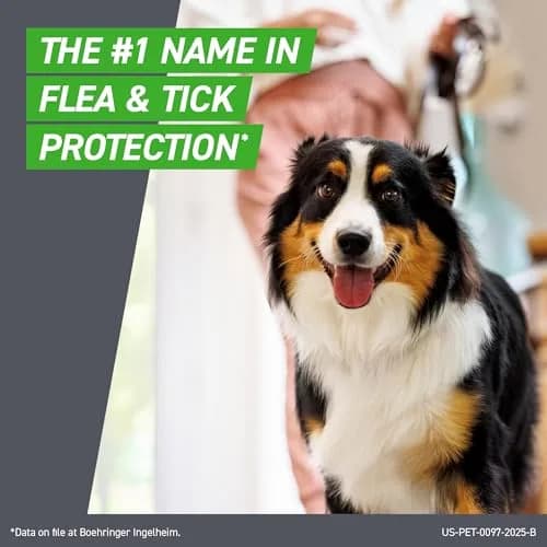 Frontline Plus Flea & Tick Treatment for Dogs 5-22 Pounds | Waterproof Monthly Protection thumbnail 3