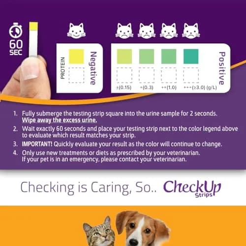 KIT4CAT CheckUp Protein Urine Test Strips for Cats & Dogs, 50 Count | Non-Invasive Pet Health Monitoring thumbnail 5