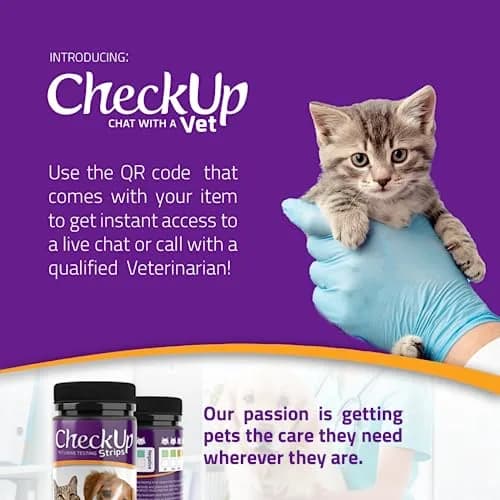 KIT4CAT CheckUp Protein Urine Test Strips for Cats & Dogs, 50 Count | Non-Invasive Pet Health Monitoring thumbnail 6