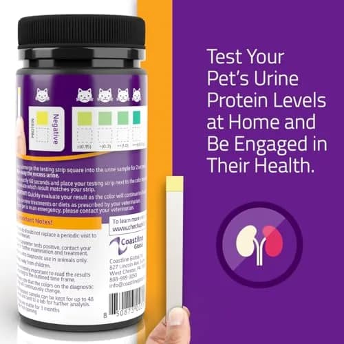 KIT4CAT CheckUp Protein Urine Test Strips for Cats & Dogs, 50 Count | Non-Invasive Pet Health Monitoring thumbnail 3