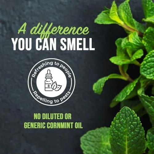 Mighty Mint Peppermint Oil Insect Repellent Spray 473ml (16 Fl Oz) | Natural Indoor & Outdoor Bug Control thumbnail 4