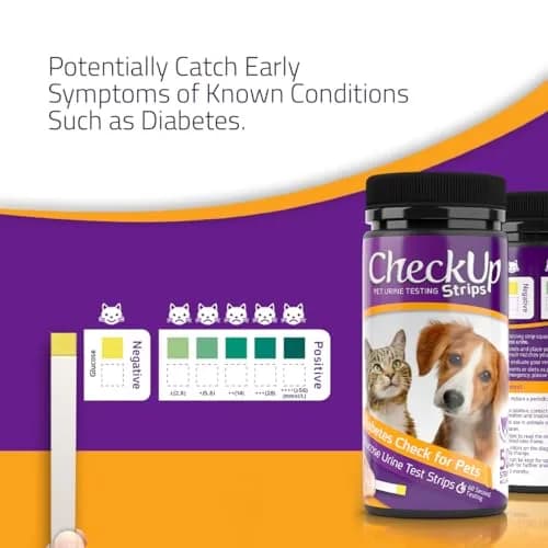 KIT4CAT CheckUp Glucose Urine Testing Strips for Cats and Dogs, 50 Count | Detects Glucose Levels in 60 Seconds thumbnail 4