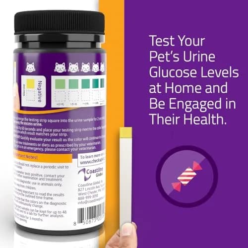 KIT4CAT CheckUp Glucose Urine Testing Strips for Cats and Dogs, 50 Count | Detects Glucose Levels in 60 Seconds thumbnail 3