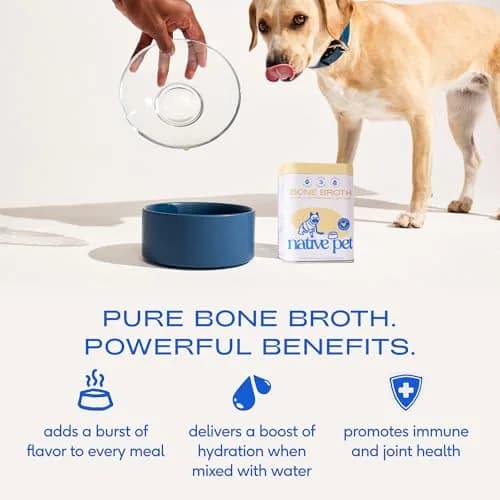 Native Pet Bone Broth for Dogs & Cats - Chicken Bone Broth Powder | Supports Joint, Immunity & Heart Health - 96 Scoops thumbnail 3