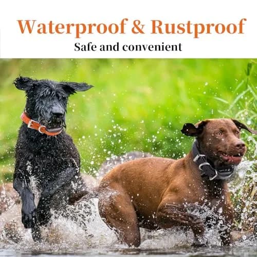 TrainPro Waterproof TPU Replacement Strap for Dog Training Collar, 27.5 in (70 cm) | Universal Fit for Bark & Shock Collars thumbnail 5