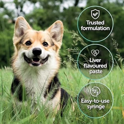 Protexin Veterinary Pro-Kolin Advanced for Dogs 30ml (1.01 Fl Oz) | Probiotic & Prebiotic Digestive Support thumbnail 3