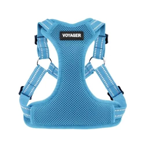 Best Pet Supplies Voyager Adjustable Step-In Mesh Dog Harness for Small Medium Large Dogs (Baby Blue), L | Breathable & Reflective Fit thumbnail 1