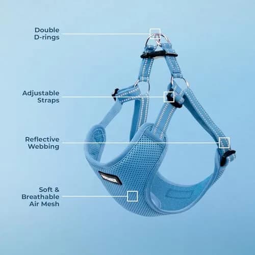 Best Pet Supplies Voyager Adjustable Step-In Mesh Dog Harness for Small Medium Large Dogs (Baby Blue), L | Breathable & Reflective Fit thumbnail 3