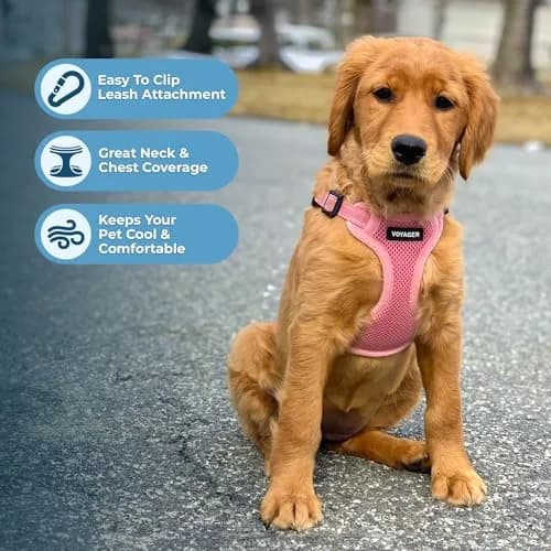 Best Pet Supplies Voyager Step-in Flex Dog Harness - Pink, Medium | Adjustable, Breathable & Reflective thumbnail 5