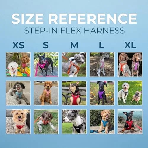 Best Pet Supplies Voyager Step-in Flex Dog Harness - Pink, Medium | Adjustable, Breathable & Reflective thumbnail 6