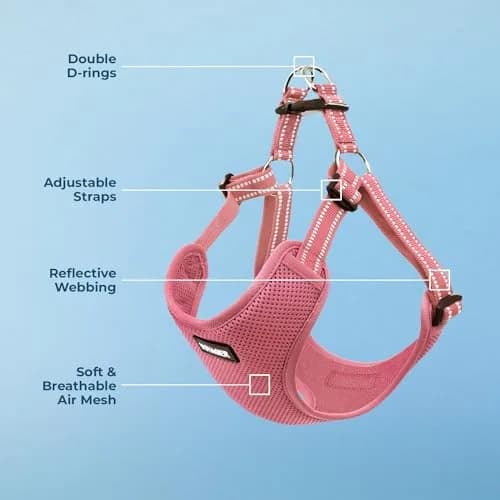 Best Pet Supplies Voyager Step-in Flex Dog Harness - Pink, Medium | Adjustable, Breathable & Reflective thumbnail 3