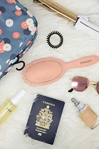 FRAMAR Detangling Hair Brush for All Hair Types | Gentle & Time-Saving (70-120 chars) thumbnail 8