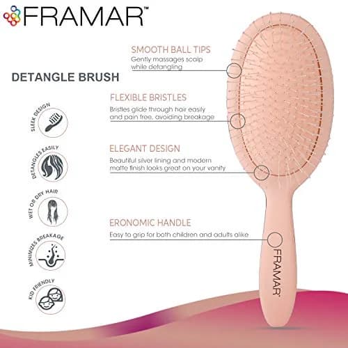 FRAMAR Detangling Hair Brush for All Hair Types | Gentle & Time-Saving (70-120 chars) thumbnail 2