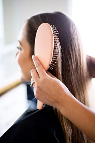 FRAMAR Detangling Hair Brush for All Hair Types | Gentle & Time-Saving (70-120 chars) thumbnail 3