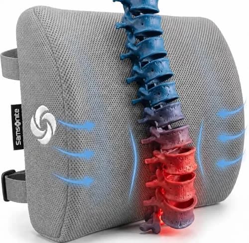 Samsonite Memory Foam Lumbar Support Pillow for Office Chair, Gaming Chair & Car Seat | Ergonomic Back Cushion for Sitting Comfort thumbnail 1
