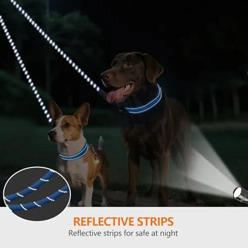 Taglory Blue Double Dog Leash Coupler 76.2cm (30 Inch) | Tangle-Free Swivel for Small & Medium Dogs thumbnail 4