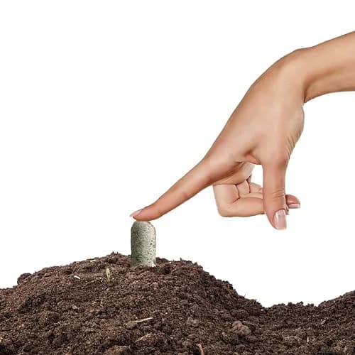 Jobe’s Organics Herb Garden Fertilizer Spikes, 50 Count | Organic Plant Care for Herbs thumbnail 5