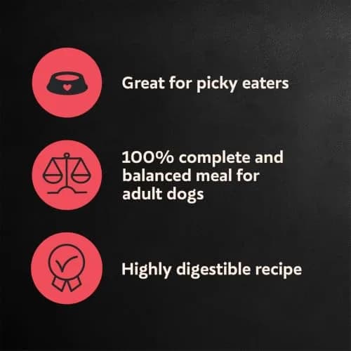 Cesar Small Breed Dry Dog Food Porterhouse Flavor & Spring Vegetables 2.27 kg (5 lb) | Real Beef First Ingredient thumbnail 2