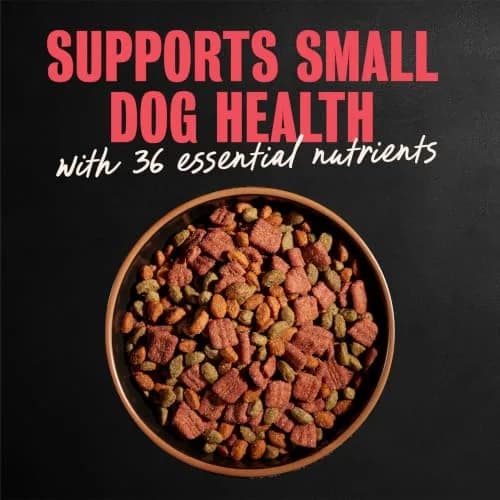 Cesar Small Breed Dry Dog Food Porterhouse Flavor & Spring Vegetables 2.27 kg (5 lb) | Real Beef First Ingredient thumbnail 3