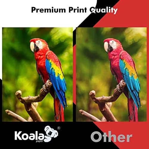 Koala Inkjet Transparency Film Clear Acetate Sheets for Crafts, 50 Sheets | 100% Transparent, Compatible with Inkjet Printers, 8.5x11 Inches thumbnail 5