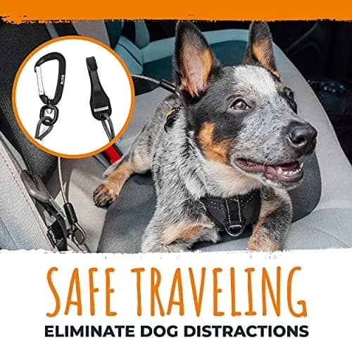 Mighty Paw Dog Seat Belt Vehicle - Chew-Proof 32" | Heavy-Duty Car Safety for Teething Puppies thumbnail 7