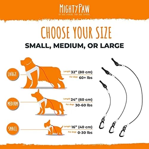 Mighty Paw Dog Seat Belt Vehicle - Chew-Proof 32" | Heavy-Duty Car Safety for Teething Puppies thumbnail 9