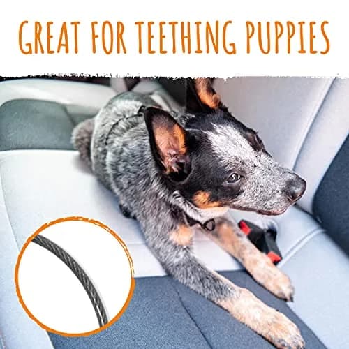 Mighty Paw Dog Seat Belt Vehicle - Chew-Proof 32" | Heavy-Duty Car Safety for Teething Puppies thumbnail 3
