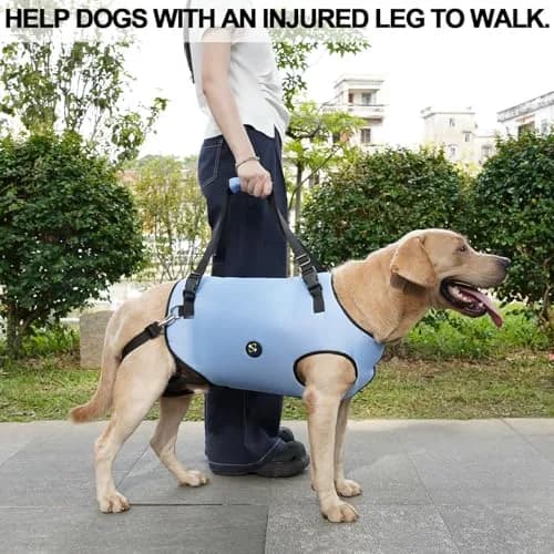 Coodeo Dog Lift Harness Blue 2XL | Professional Support for Old & Disabled Dogs thumbnail 6