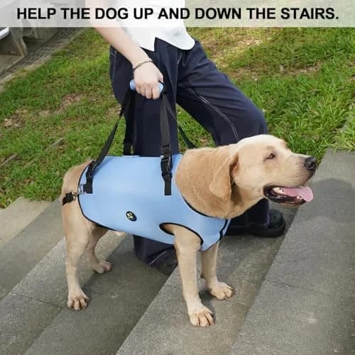Coodeo Dog Lift Harness Blue 2XL | Professional Support for Old & Disabled Dogs thumbnail 2