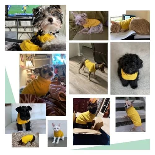 CHBORCHICEN Small Dog Sweater Turtleneck Pullover Winter Clothes | Knitted Acrylic, Warm & Breathable (70-120 chars) thumbnail 5