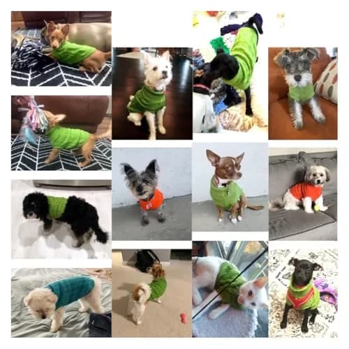 CHBORCHICEN Knitted Small Dog Sweater, Turtleneck Pullover | Warm Winter Puppy Clothes for Small Breeds thumbnail 5