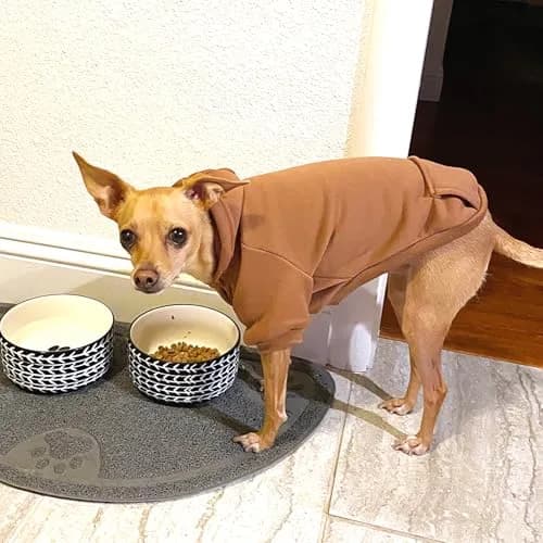 JECIKELON Small Dog Hoodie with Pocket | Warm Fleece Winter Coat for Pets (70-120 chars) thumbnail 3