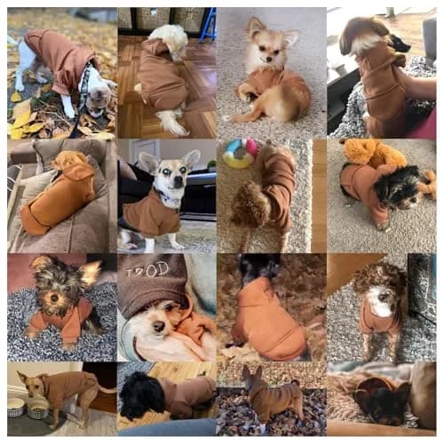 JECIKELON Small Dog Hoodie with Pocket | Warm Fleece Winter Coat for Pets (70-120 chars) thumbnail 4