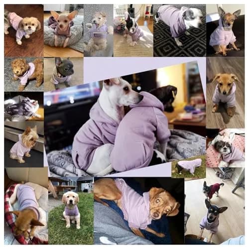 JECIKELON Small Dog Hoodie with Pocket & Hat | Warm Fleece Winter Coat (17cm/6.7in) thumbnail 4