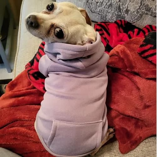 JECIKELON Small Dog Hoodie with Pocket & Hat | Warm Fleece Winter Coat (17cm/6.7in) thumbnail 5
