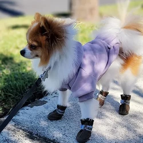 JECIKELON Small Dog Hoodie with Pocket & Hat | Warm Fleece Winter Coat (17cm/6.7in) thumbnail 3