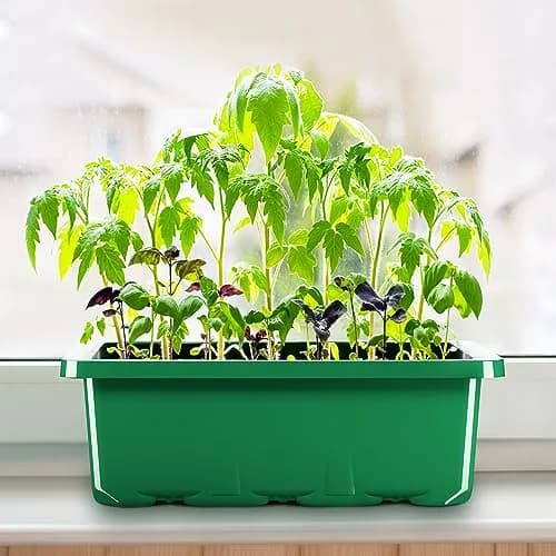 MIXC 10 Pack Seed Starter Tray with Humidity Dome, 120 Cells | Reusable Green Planter Kit thumbnail 7
