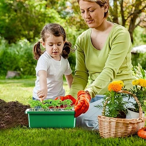 MIXC 10 Pack Seed Starter Tray with Humidity Dome, 120 Cells | Reusable Green Planter Kit thumbnail 8
