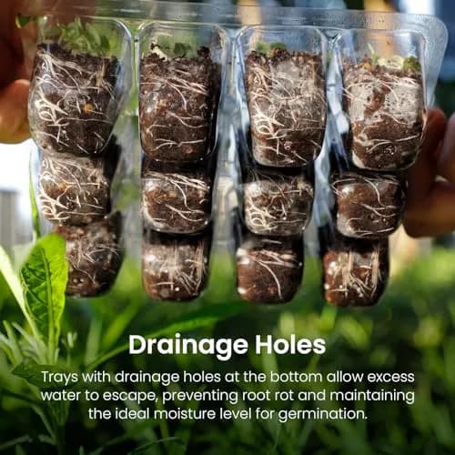 MIXC 4 Pack Seed Starter Kit with Grow Light, Vented Humidity Dome, Green | Full Spectrum LED for Indoor Gardening thumbnail 5