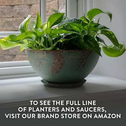 Classic Home & Garden GROWSCAPE Rosie Planter Bowl, 10” Earth | Weather-Resistant Resin with Drainage thumbnail 7