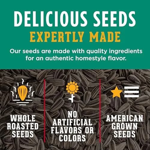 David Sour Cream & Onion Jumbo Sunflower Seeds 5.25oz | Keto Friendly, Resealable Bag (Pack of 12) thumbnail 4