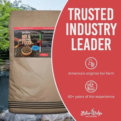 Blue Ridge Koi Fish Food Growth Formula Mini 1/8" Pellets 22.7 kg (50 lb) | 36% Protein for Active Growth thumbnail 6