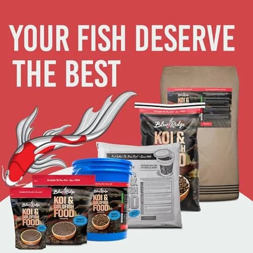 Blue Ridge Koi Fish Food Growth Formula Mini 1/8" Pellets 22.7 kg (50 lb) | 36% Protein for Active Growth thumbnail 7