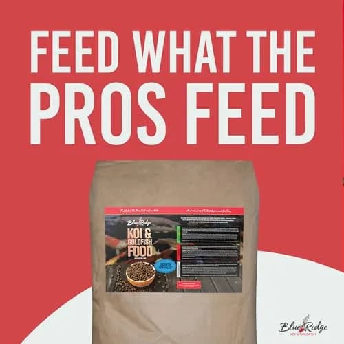 Blue Ridge Koi Fish Food Growth Formula Mini 1/8" Pellets 22.7 kg (50 lb) | 36% Protein for Active Growth thumbnail 2