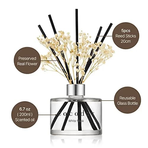 Cocod'or Reed Diffuser Set with Preserved Baby's Breath & April Breeze Scent 200ml (6.7oz) | Long-Lasting Home Fragrance thumbnail 3