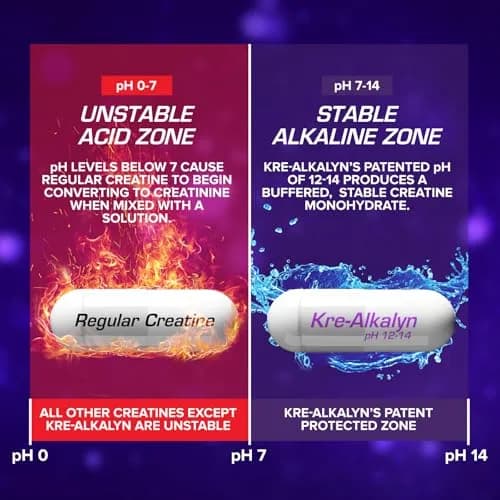 EFX Sports Kre-Alkalyn EFX pH-Correct Creatine Monohydrate Pill Supplement 180 Veggie Capsules | Vegan Friendly Strength & Muscle Growth thumbnail 5