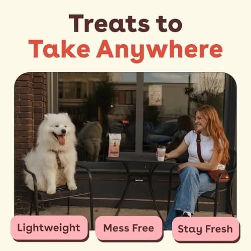 Pupford Freeze Dried Training Treats for Dogs & Puppies (Beef Liver, 4 oz) | All-Natural, Low-Calorie, Perfect for Training thumbnail 6