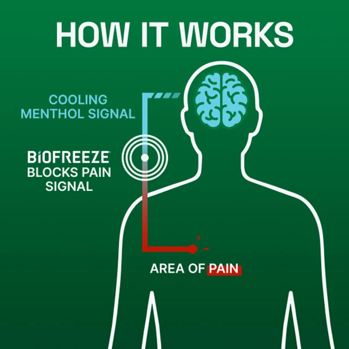 Biofreeze Menthol Pain Relief Cream 177ml (6 Fl Oz) | Cooling Relief for Arthritis, Muscle & Back Pain - view 8