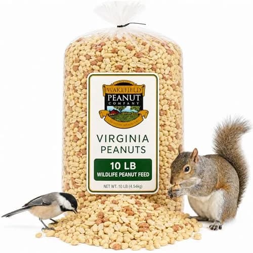 Wakefield Virginia Peanuts Animal Grade Raw Wildlife Peanuts, 10 LBS | Unsalted, Shelled & High Energy for Wildlife in India thumbnail 1
