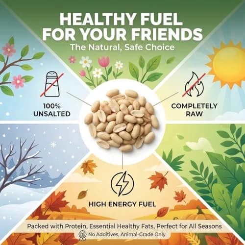 Wakefield Virginia Peanuts Animal Grade Raw Wildlife Peanuts, 10 LBS | Unsalted, Shelled & High Energy for Wildlife in India thumbnail 7